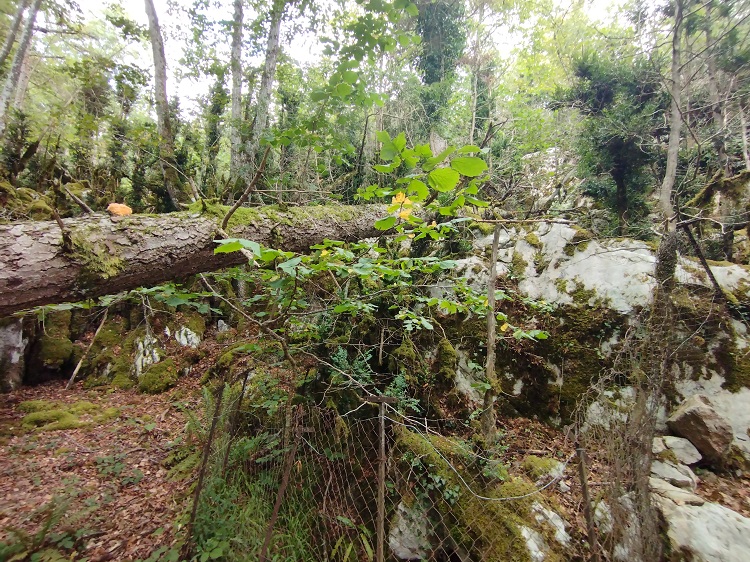 Quirbajou, Gouffre le plateau karstique - 4