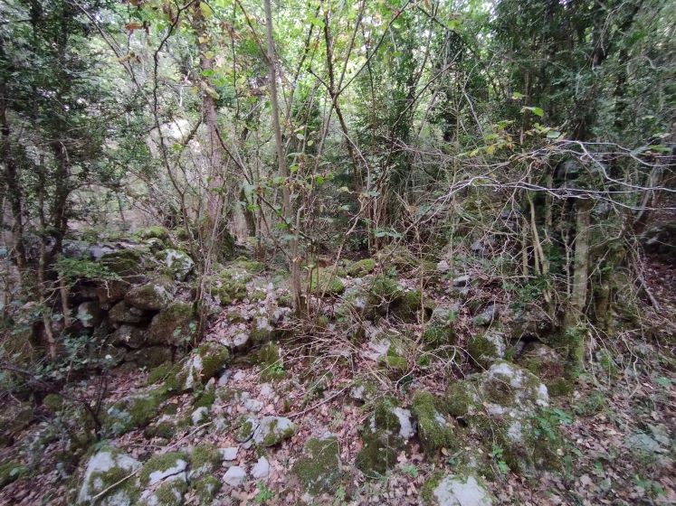 chemin de la pêcherie - bergerie de la première parcelle du plateau de Quirbajou