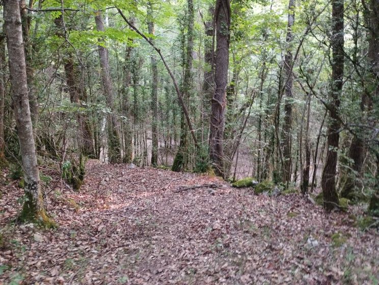 chemin de la pêcherie - première parcelle du plateau de Quirbajou