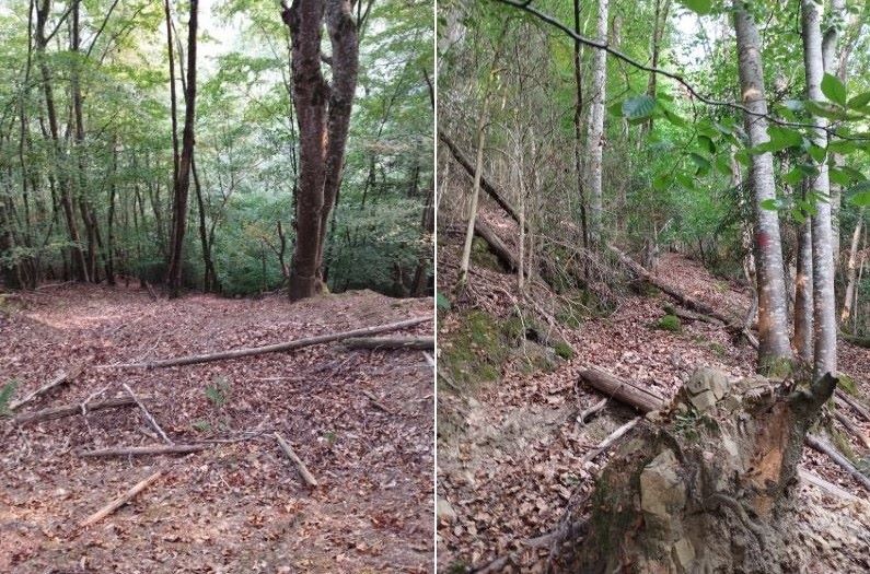 chemin de la pêcherie - à la découverte par cet ancien chemin
