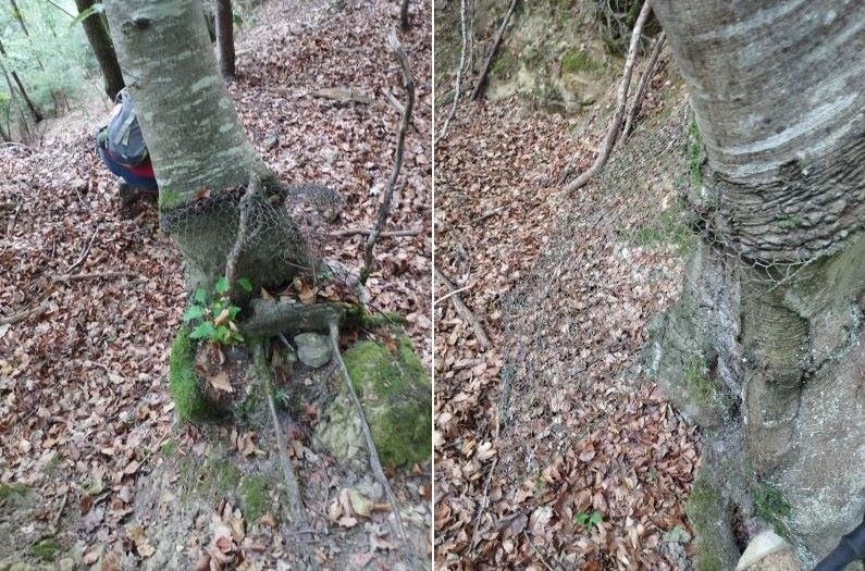 chemin de la pêcherie - Premier emplacement de charbonnière - 1