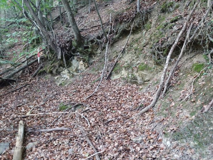 chemin de la pêcherie - emplacement de la charbonnière