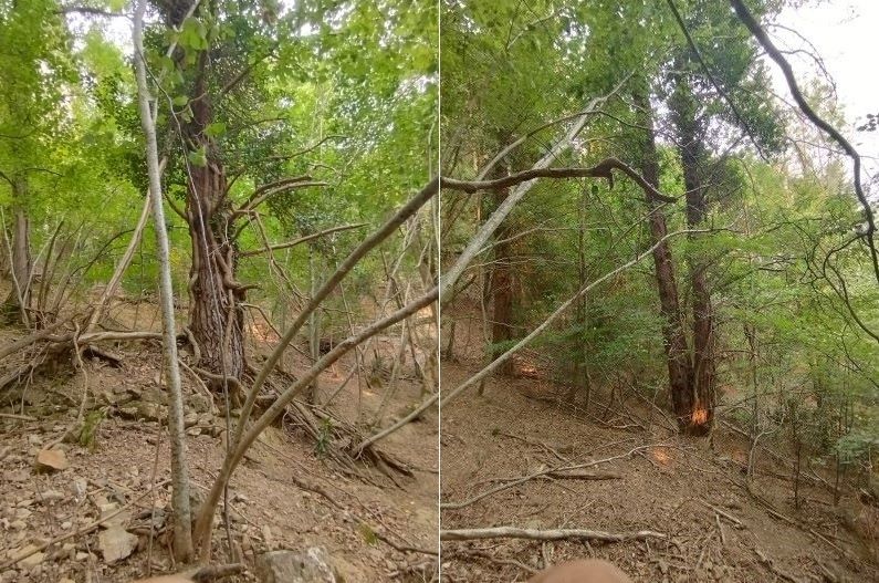 chemin de la pêcherie - Deuxième emplacement de charbonnière - 3