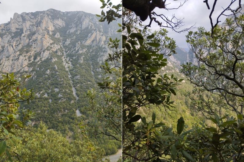 chemin de la pêcherie - Premier point de vue du chemin avec vue sur le canal de la vache et les gorges de la Pierre-Lys