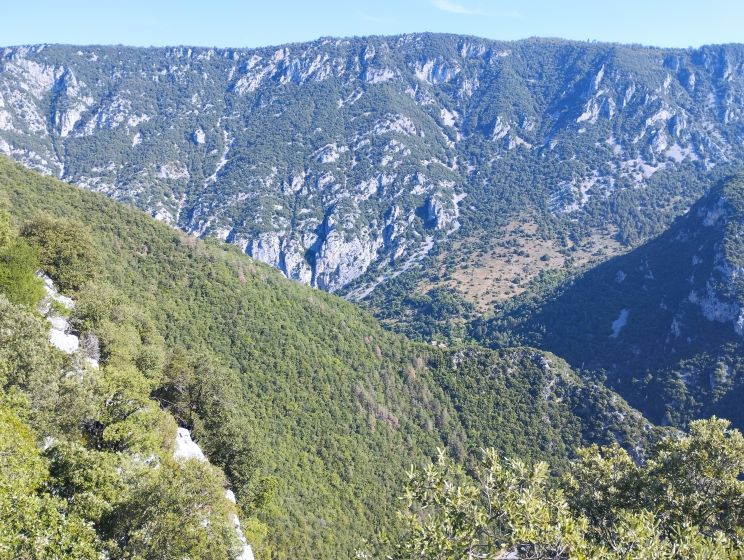 Randonnée du 24 août 2025 - Les vignes de St Martin - 1