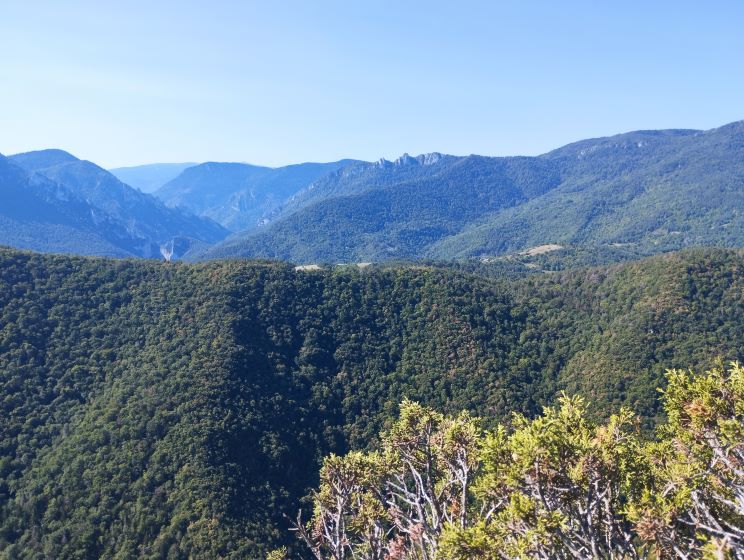 Randonnée du 24 août 2025 - Vers les Gorges de Saint Georges - 4