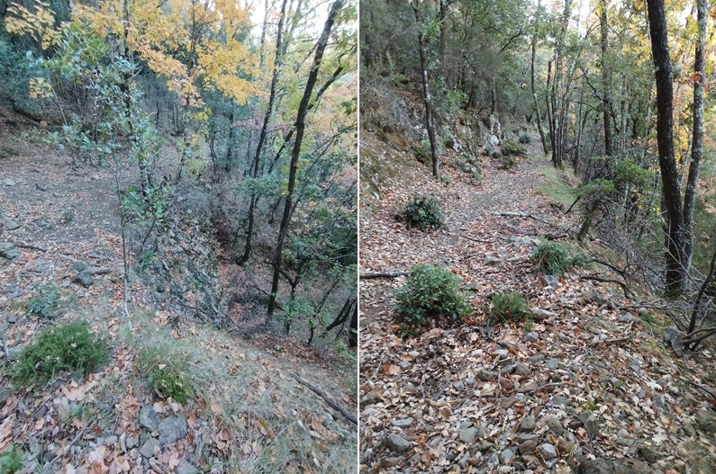 St Martin Lys, chemin de quirbajou 1