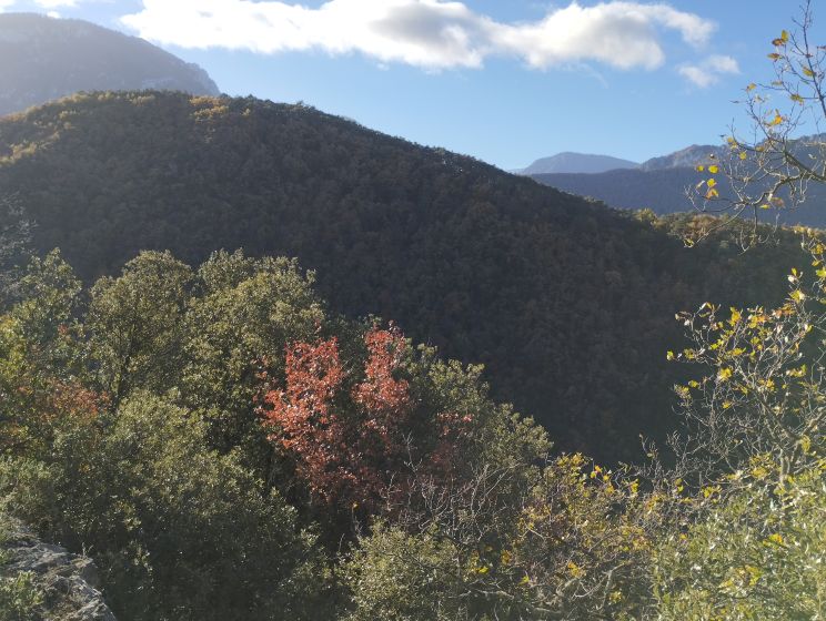 St Martin Lys, chemin de quirbajou 4