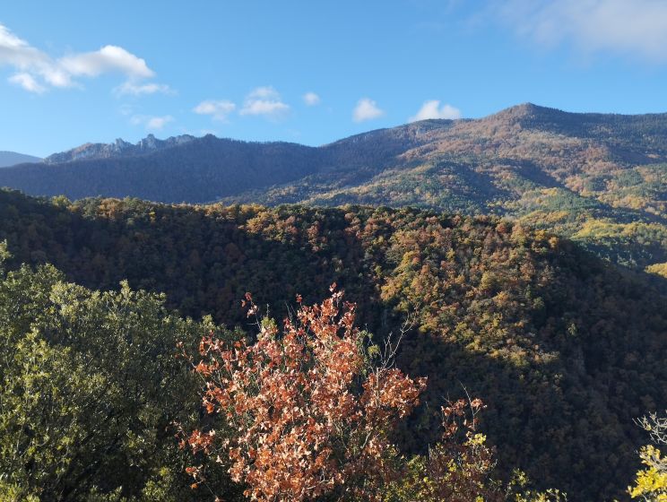 St Martin Lys, chemin de quirbajou 5
