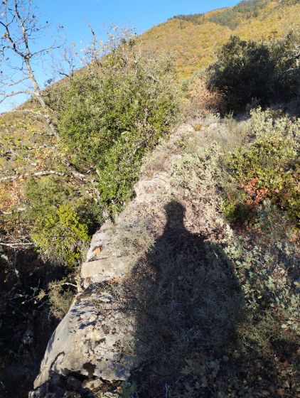 St Martin Lys, chemin de quirbajou 6