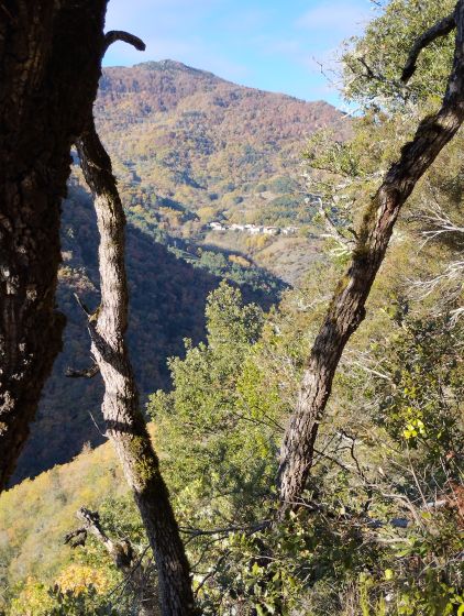 St Martin Lys, chemin de quirbajou 8