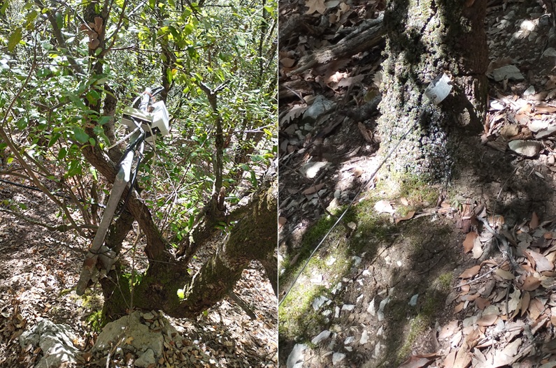 St Martin Lys, chemin de quirbajou 9