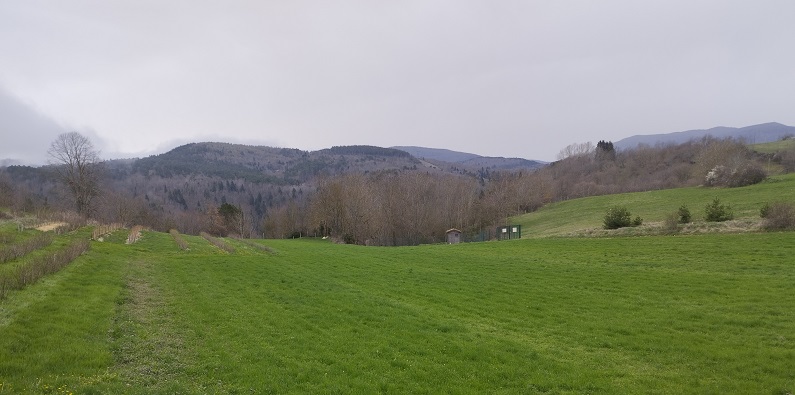 Rodome - hameau de Caillens, vue près de Caillens depuis le chemin Vauban 2