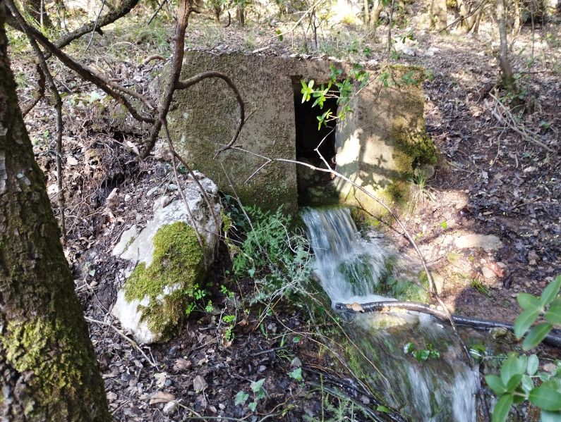 St Martin Lys, source - résurgence haute 1
