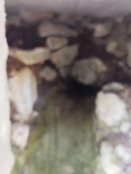 St Martin Lys, source - résurgence haute 3