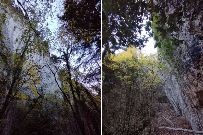 Paysages de l'ancienne tire