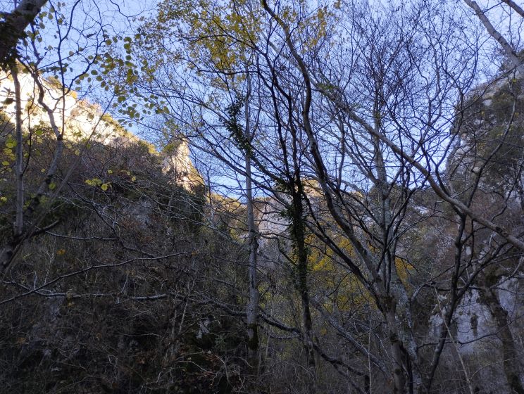 Paysages de l'ancienne tire 2