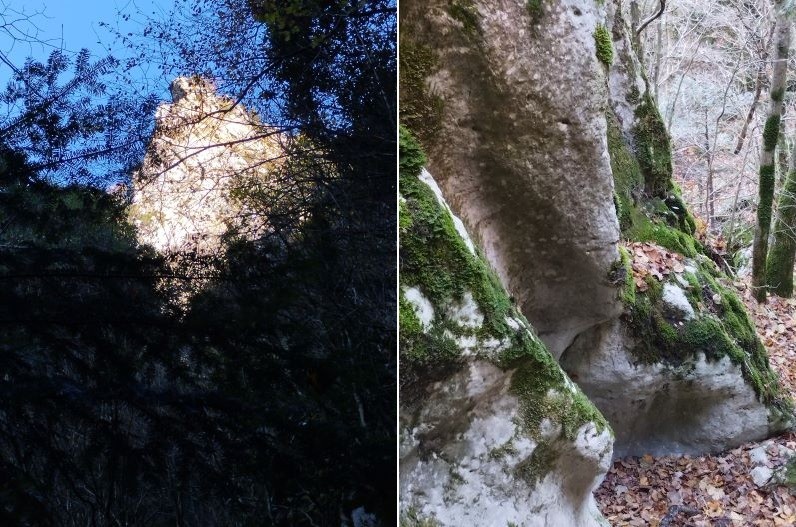 Paysages de l'ancienne tire 3