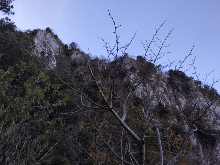 Paysages de l'ancienne tire 4