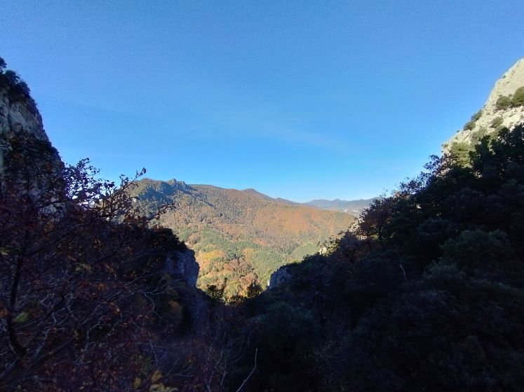 Paysages de l'ancienne tire 5