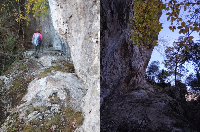 Paysages de l'ancienne tire 7